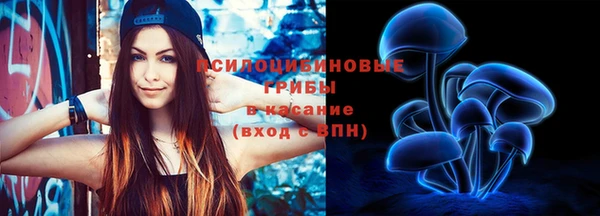 спайс Краснослободск
