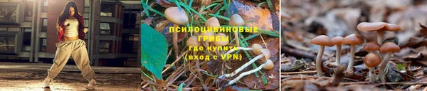 а пвп мука Красноперекопск