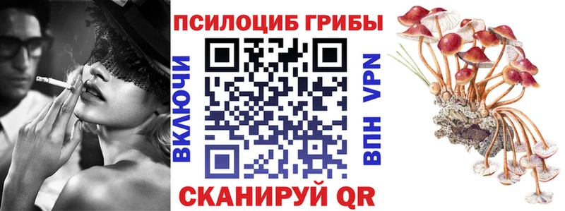 Галлюциногенные грибы Magic Shrooms  Купить  Рошаль 